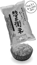 �y���q��