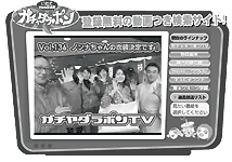 �K�`���_���|��TV