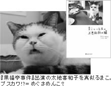 �܂��Ƃ������̕s�v�c��̔L