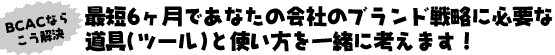 BCAC�Ȃ炱������
�ŒZ6�����ł��Ȃ��̉�Ђ̃u�����h�헪�ɕK�v�ȓ���i�c�[���j�Ǝg�������ꏏ�ɍl���܂��I
