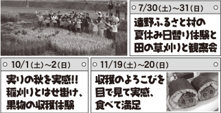 �_�Ƒ̌��c�A�[