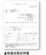 �������ʏؖ���