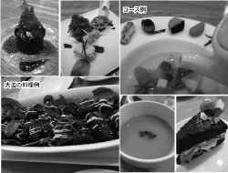 �R�[�X��
��M�̗�����