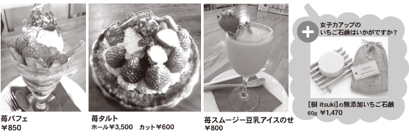 䕃p�t�F �E 䕃^���g �E 䕃X���[�W�[�����A�C�X�̂�